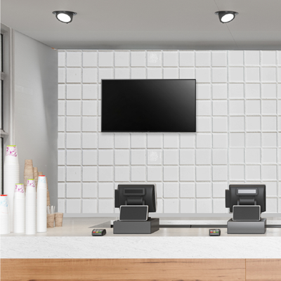 43" Sony Bravia Display